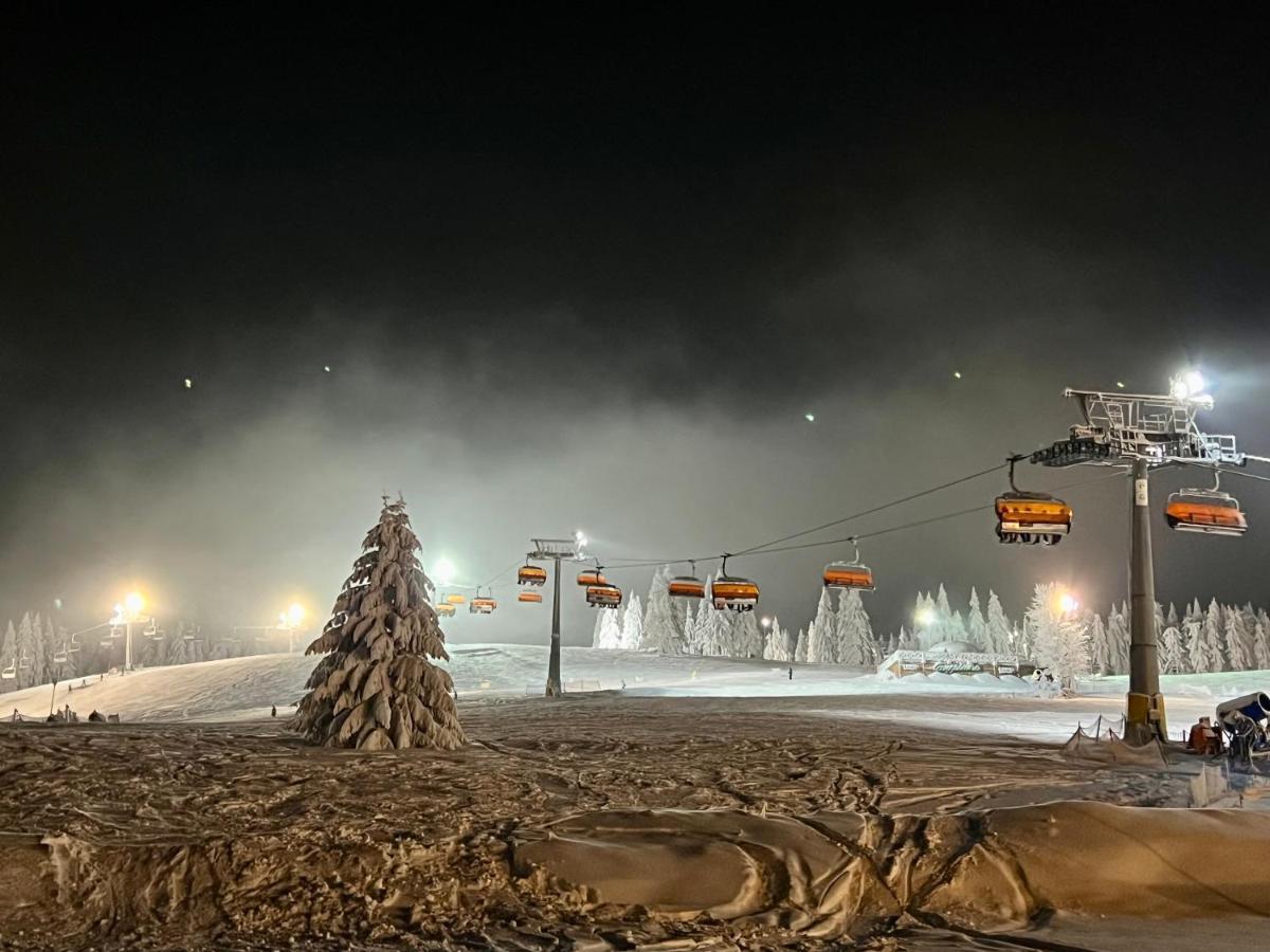 Alpejski Zieleniec Zieleniec  Exteriér fotografie